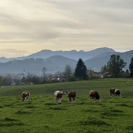 Alpine View Romi