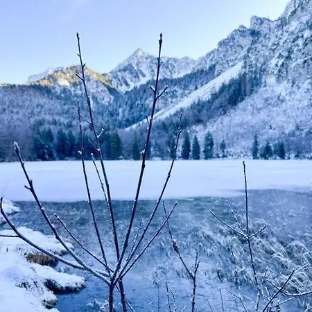 شقة Alpine View Romi انزل
